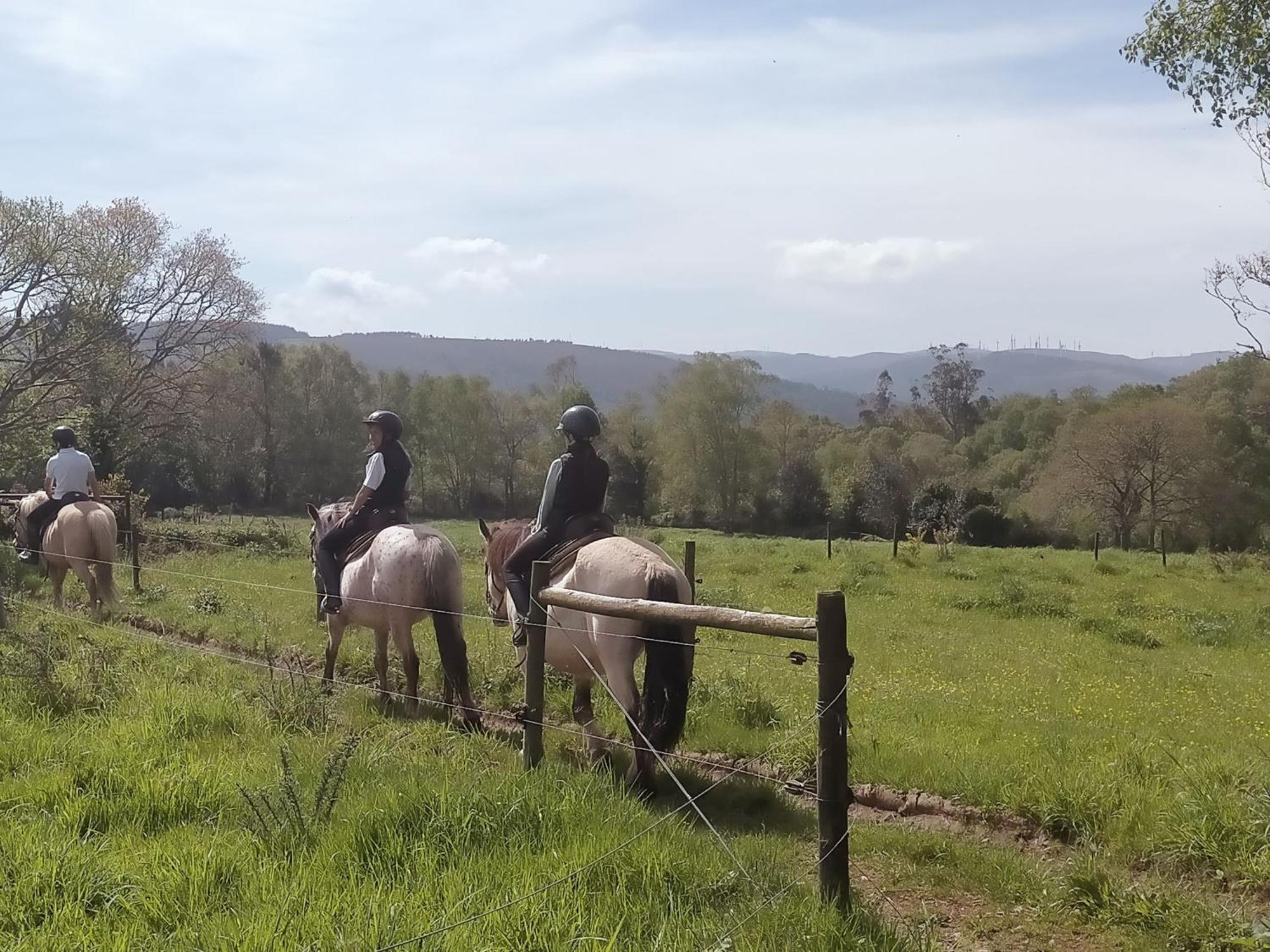 Granja Labrada: Alojamiento Con Caballos Manon Εξωτερικό φωτογραφία